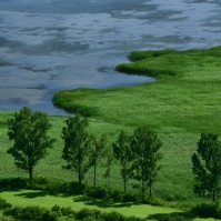 Turniansky rybnk