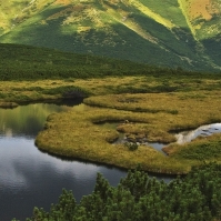 Trvy Trohrohho plesa (Vysok Tatry)